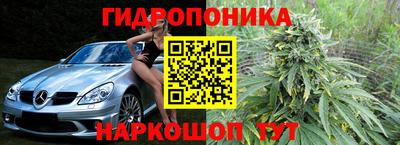 стаф Волжский
