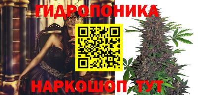 стаф Волжский