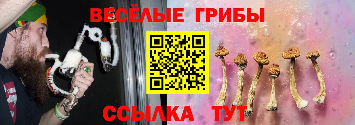 Галлюциногенные грибы мухоморы  Псилоцибиновые грибы Psilocybine cubensis  где можно купить   Черемхово  Вход с VPN 